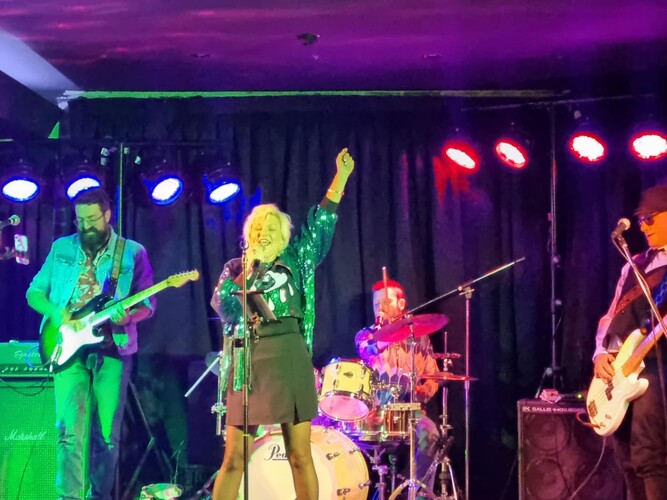 Discolicious, disco band in Sydney, photo 3