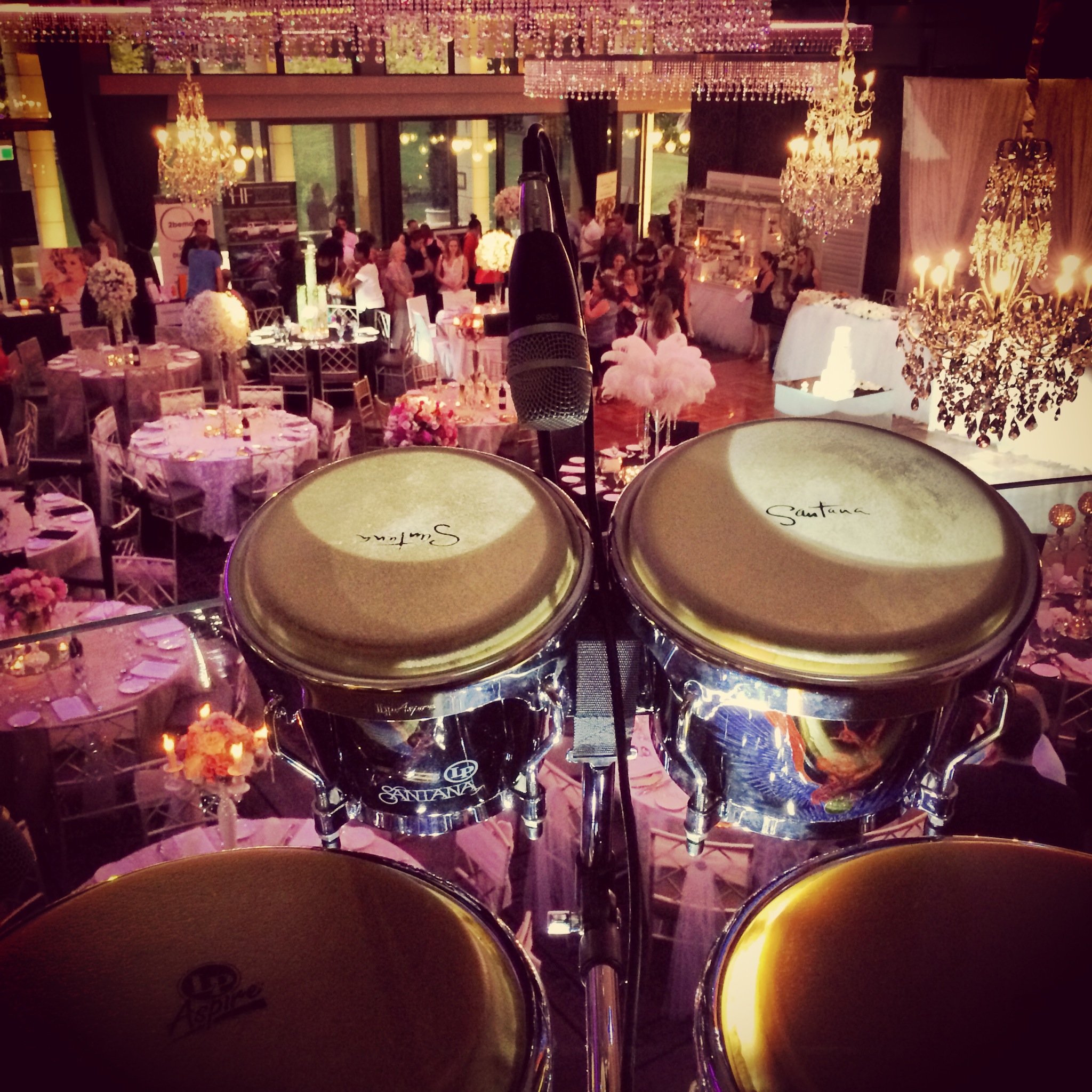 Bongo Player /Percussionist (Mark on Drums), drummer in Sydney, photo 2