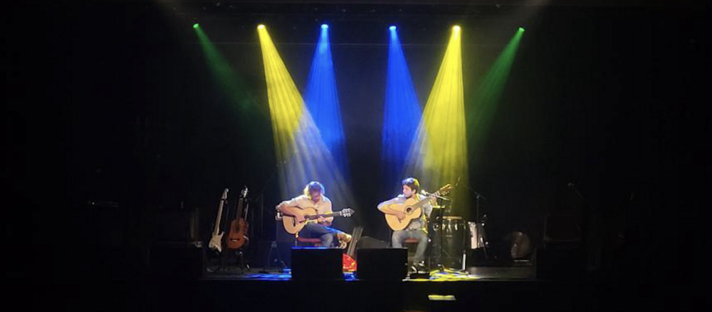 Steyer Brothers, musical duo in Sydney, photo 3