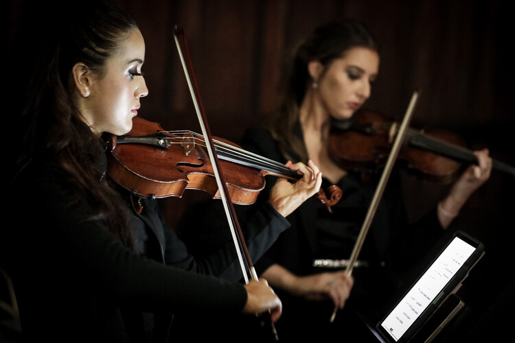 Celeste Strings, violinist in Sydney, photo 3