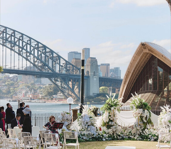 Violin Chromatique, violinist in Sydney, photo 3