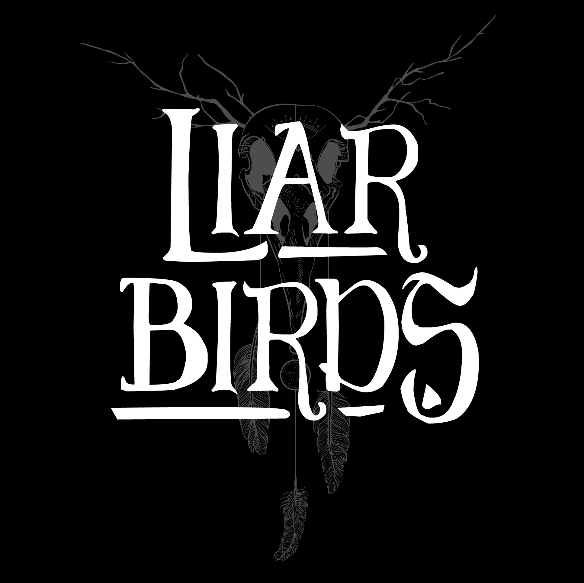 LIAR Birds, cover band in Toowoomba