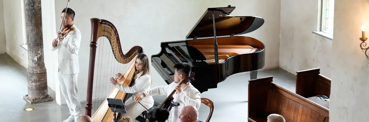 Darioviolin & Double Show Entertainment, wedding band in Melbourne, photo 3