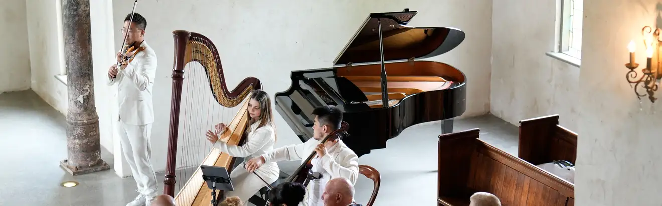 Darioviolin & Double Show Entertainment, wedding band in Melbourne
