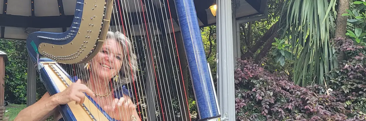 Vanessa McKeand (harpist) and MV2 (violin and harp), wedding band in Melbourne, photo 2