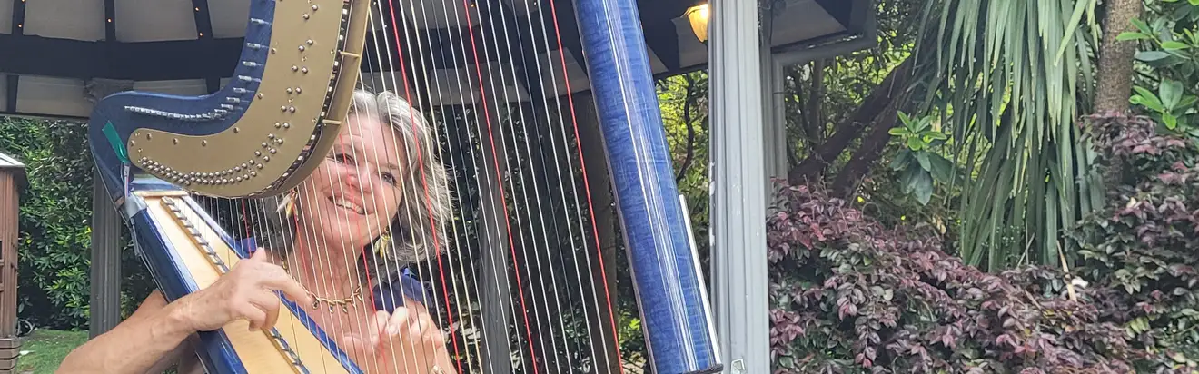Vanessa McKeand (harpist) and MV2 (violin and harp), wedding band in Melbourne