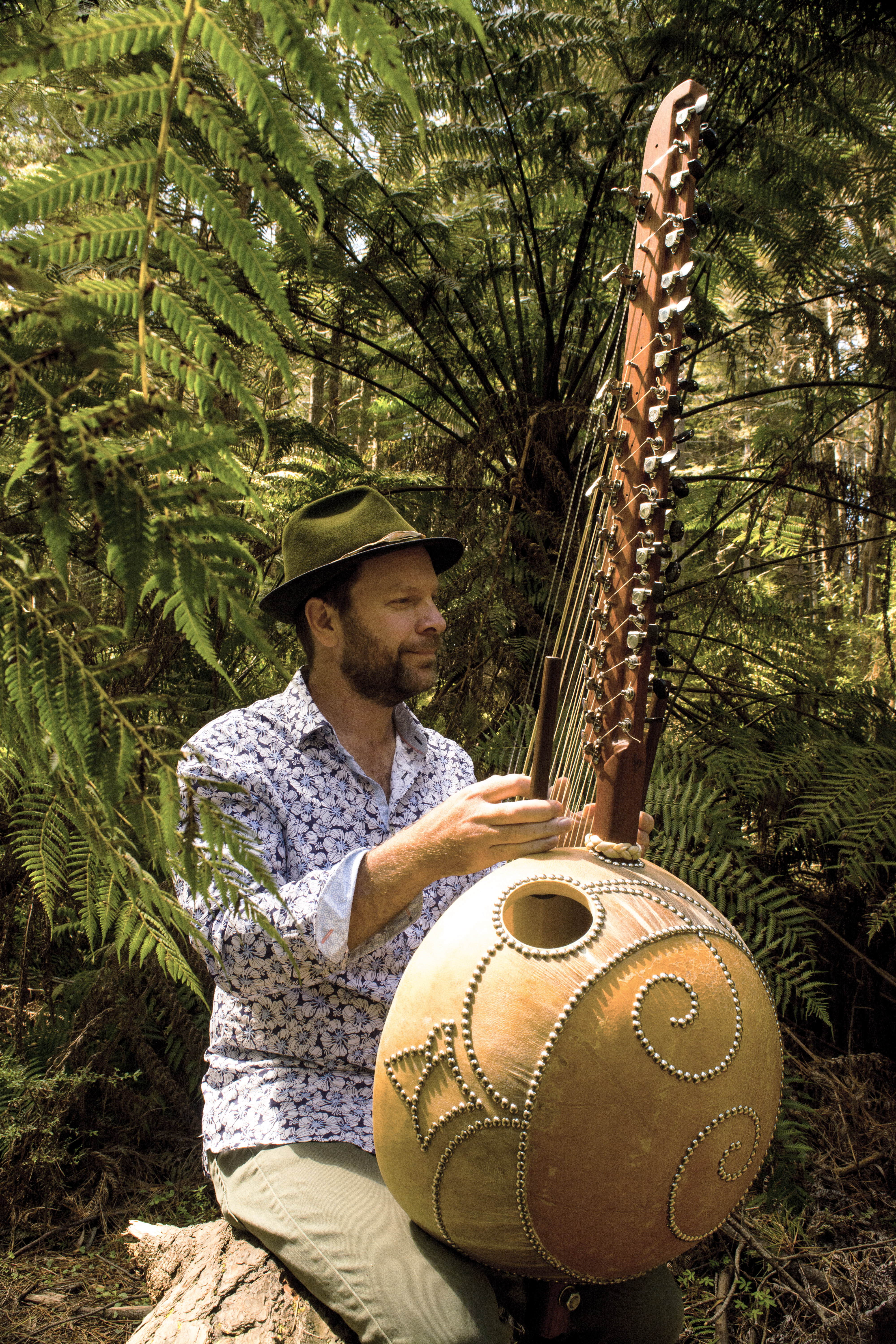 Roderick McLeod, harp player in Yarra Junction, photo 2